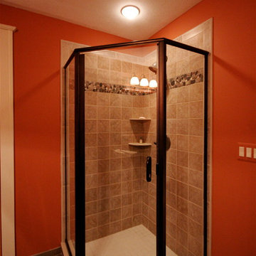 Lower level bathroom shower