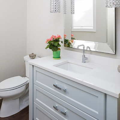 Example of a small transitional 3/4 dark wood floor bathroom design in Minneapolis with recessed-panel cabinets, gray cabinets, a two-piece toilet, gray walls, an undermount sink and solid surface countertops