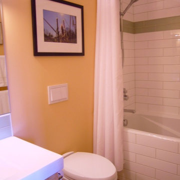 Main and Master Bathroom Remodeling, St. Paul, MN