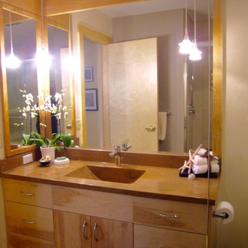 Main and Master Bathroom Remodeling, St. Paul, MN