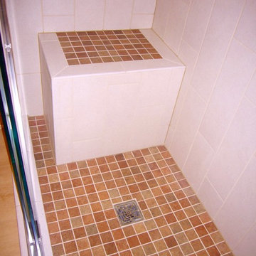 Main and Master Bathroom Remodeling, St. Paul