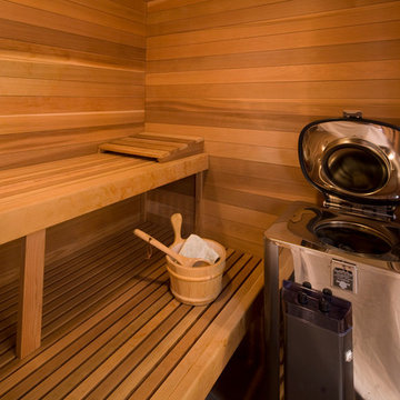 Majestic Adobe In-Home Sauna