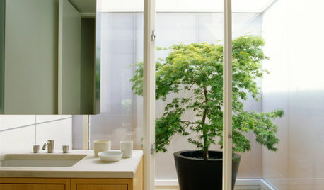 Bathrooms Without Borders Bring the Outside In