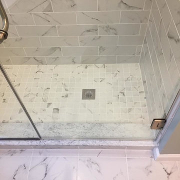 Master & Guest Bathroom Remodel