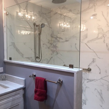 Master Bath Remodel, Contemporary Style