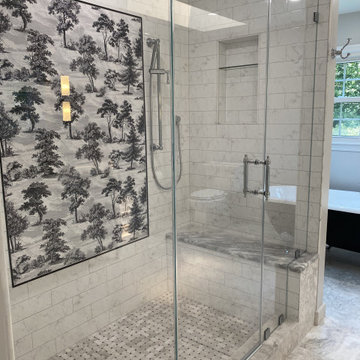 Master Bath renovation