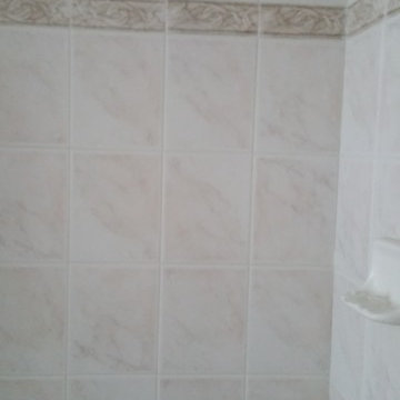 Master Bath Shower Door tear out & Grout refresh
