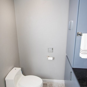 Master Bath Toilet and Cabinet