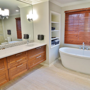 Master Bathroom Remodel