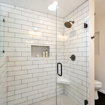 Master Bathroom Remodel (Kekic)