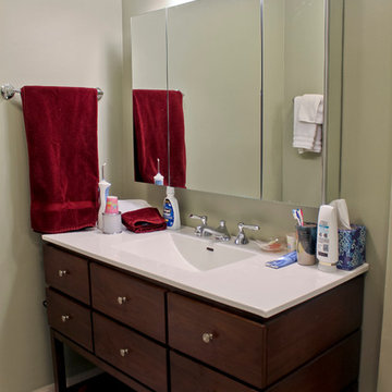 Master Bathroom Remodeling - Downtown Chicago
