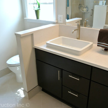 Master Bathroom Renovation