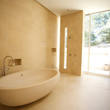 Master Bathroom tub and open shower