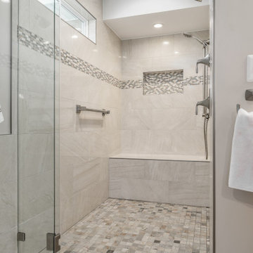 Accessible Shower, Brushed Nickel Jolly