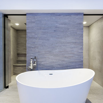 Master Shower, Tub and Toilet Room