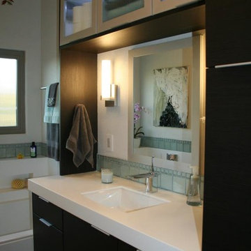 Master Vanity Area with Thermofoil Cabinets & Aluminum framed glass doors