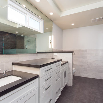 Masterbath with a grand spa wall in Oak Park