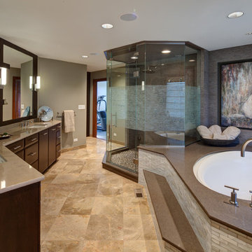 Masterful Spa-like Bathroom Suite-Aurora, IL
