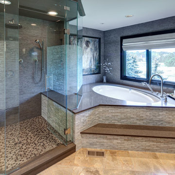 Masterful Spa-like Bathroom Suite-Aurora, IL