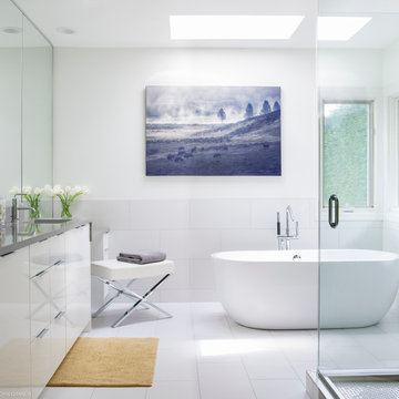 Mercer Island Modern