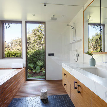 Mid-Century Remodel