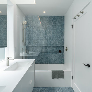 minimalist modern baths in a traditional sf residence