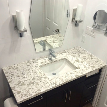 Mississauga Guest Bathroom Renovation