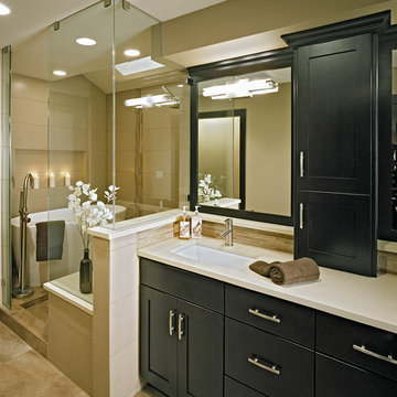Modern and Transitional Bathrooms