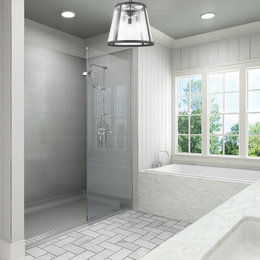 https://www.houzz.com/hznb/photos/modern-bathroom-accessible-shower-walk-in-shower-trench-drain-bathroom-phvw-vp~131977946
