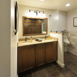 https://www.houzz.com/hznb/photos/modern-bathroom-traditional-bathroom-phvw-vp~98966910