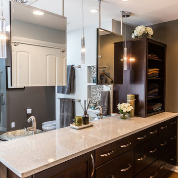 Modern Espresso Master Bathroom