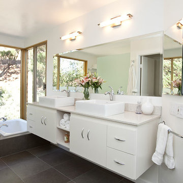 Modern Luxury Spa Tub Bathroom Remodel