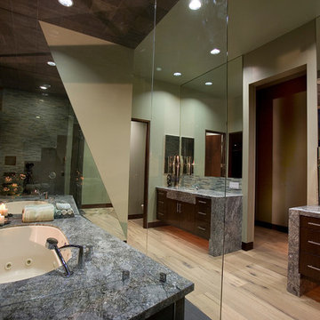 Modern Mansion Master Bathroom