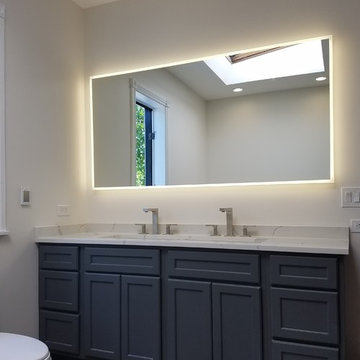 Modernized Row House Master Bathroom