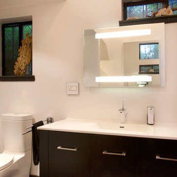 My Houzz: A Big, Empty Box Becomes a Mod Live-Work Space