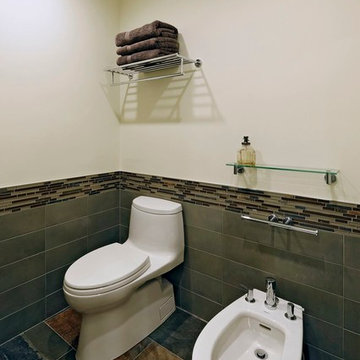 Oakton Virginia Master Bathroom