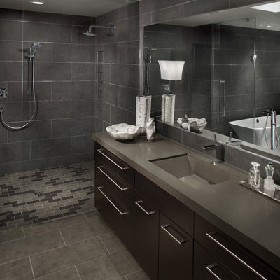 Trendy gray floor bathroom photo in Phoenix with gray countertops