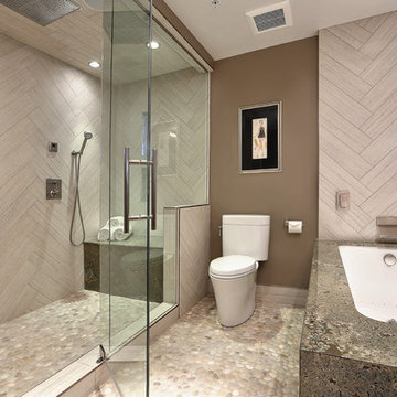 Penthouse Master Bathroom Remodel