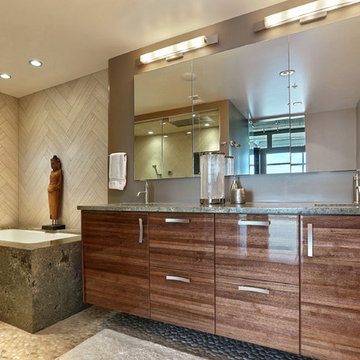 Penthouse Master Bathroom Remodel