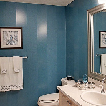Plainview Guest Bath Update