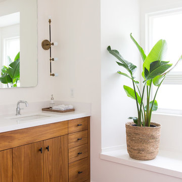 Plants in the Bathroom