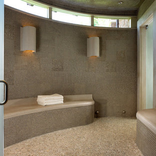 Inspiration for a contemporary mosaic tile pebble tile floor sauna remodel in Nashville