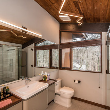 Potomac, MD Eclectic Master Bathroom