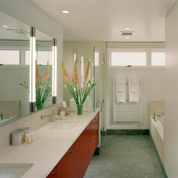 Queen Village residence master suite bathroom
