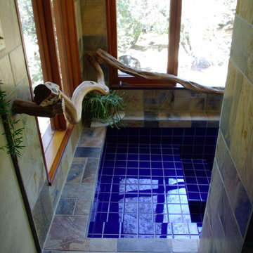 Rammed Earth Off-Grid Country Home:step down shower/tub close-up