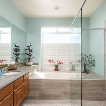 Master Bathroom Renovation in Rancho Bernardo