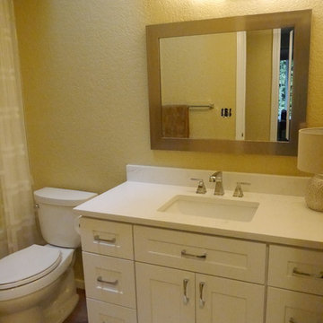 Redmond Guest Bathroom Remodel