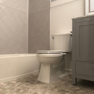 Reston Town Center Full Remodel