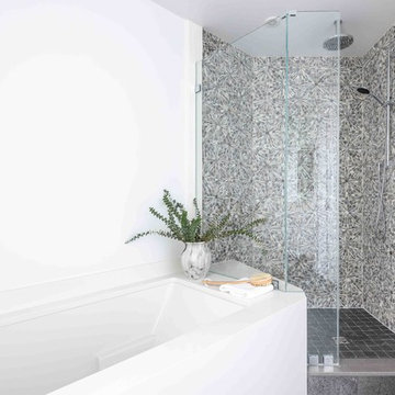 Reston, Virginia - Contemporary - Master Bathroom