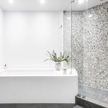 Reston, Virginia - Contemporary - Master Bathroom